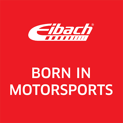 Voorbeeld van Eibach onderstelassortiment